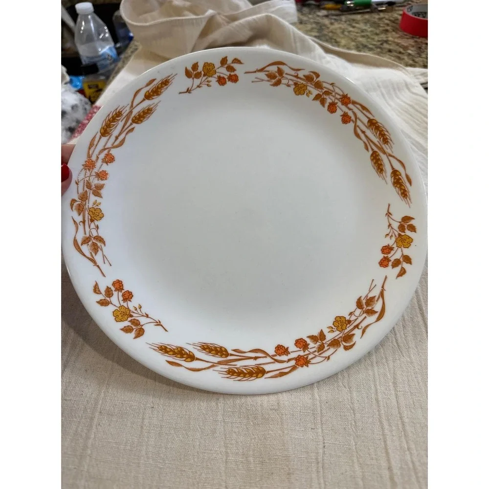 Corelle Autumn Harvest Dinner Plate 10.25 Wheat Berries Orange Gold Corning NY